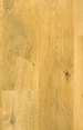 European Oak